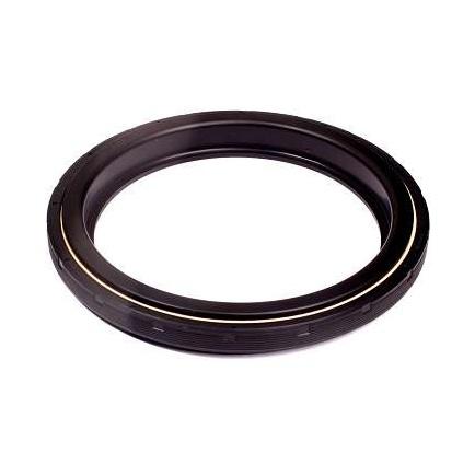 
                                RETENTOR VIRABREQUIM TRASEIRO SC 124 EURO 5 155X185