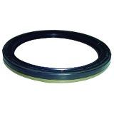 
                                RETENTOR VIRABREQUIM TRASEIRO MWM X10/X12