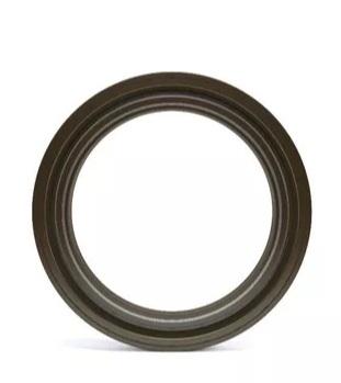 
                                RETENTOR RODA TRASEIRO FORD CARGO  1117/1119