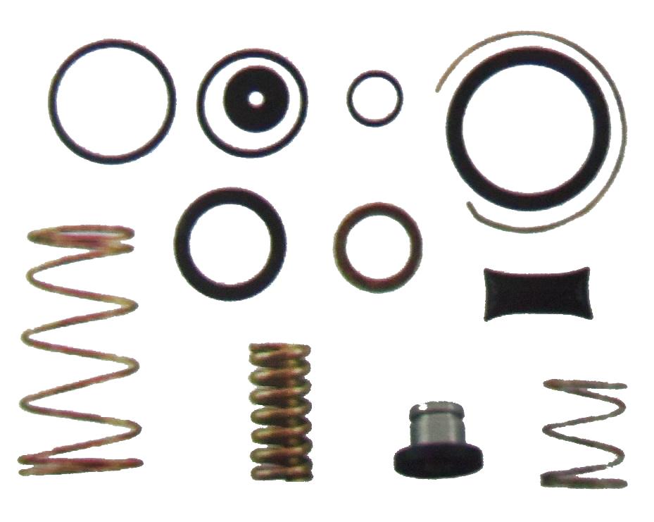 
                                REPARO VALVULA PEDAL SIMPLES   FORD