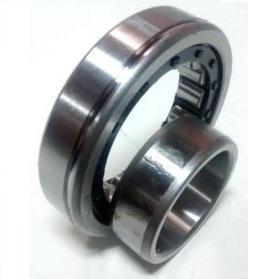 
                                ROLAMENTO 309 NU CAIXA G36/40/60 ROLETE  ENTALHADO