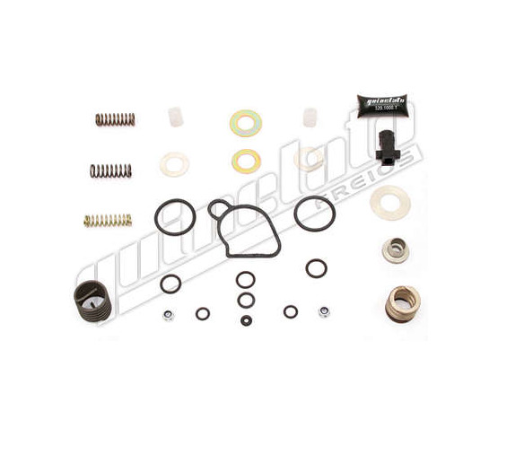 
                                REPARO VALVULA MANETIM MB 1944/1933 AXOR IVECO VW
