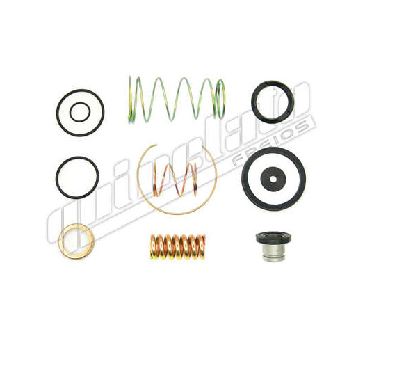 
                                REPARO VALVULA PEDAL FORD F13000 F7000 F11000 SIMPLES