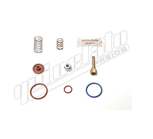 
                                REPARO VALVULA PROPORCIONAL MB1935 O371 O400 SC SERIE 4
