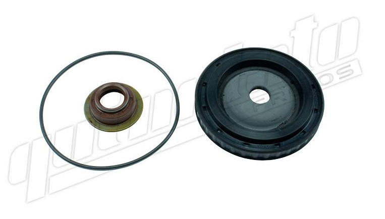 
                                REPARO CANECO TROCA CAIXA IVECO TECTOR MAN MB ATEGO 2430 ZF