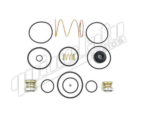 
                                REPARO VALVULA PEDAL FORD F12000 F14000 1994...1999 SAPAO