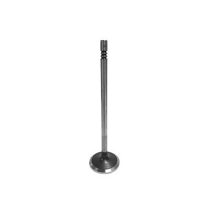 
                                VALVULA ADMISSAO MOTOR MAN D0834 D0836 VW17280 24280 26280
