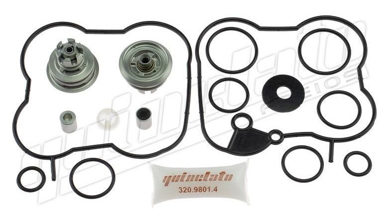 
                                REPARO VALVULA EGR SCANIA PGR