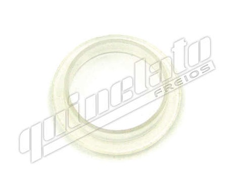 
                                ANEL VALVULA PROTECAO 4 CIRCUITO FORD MB SC VOLVO