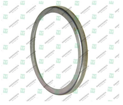 
                                ANEL BOMBA OLEO MOTOR MB1938 NL10 ZF 16S1650