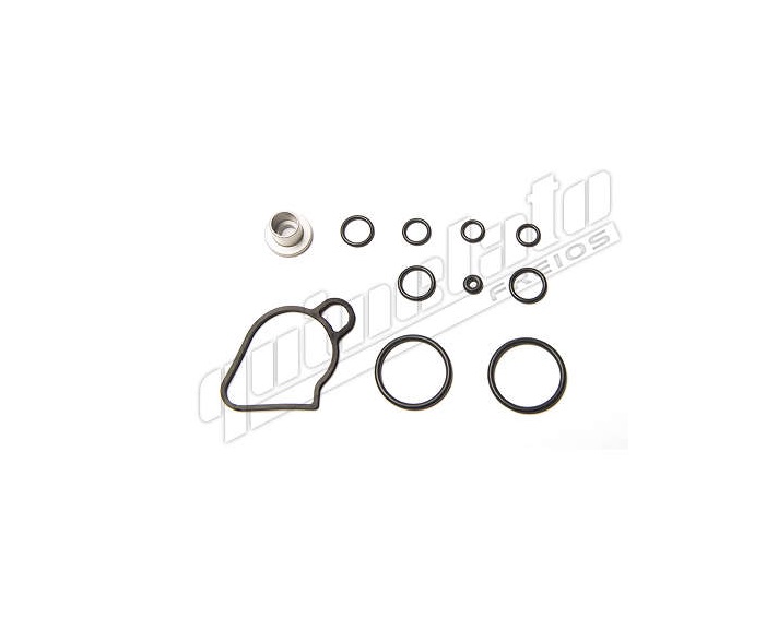 
                                REPARO VALVULA MANETIM MB 1944/1933 AXOR IVECO VW (PARCIAL)