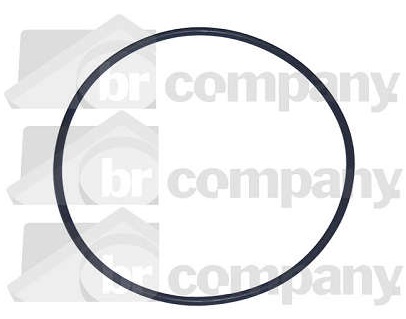 
                                ANEL FILTRO ROTATIVO SC 124 MENOR 117,07X3,53