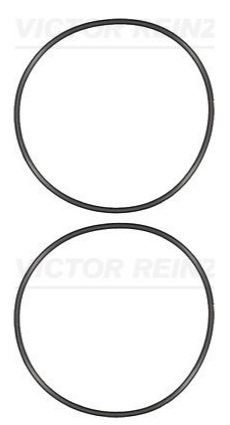 
                                ANEL CAMISA MAN TGX 28440 29520 VOLKSWAGEN 33460 METEOR 28460 28520