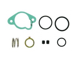
                                REPARO VALVULA MANETIM SC 110/111